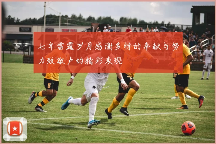 七年雷霆岁月感谢多特的奉献与努力致敬卢的精彩表现